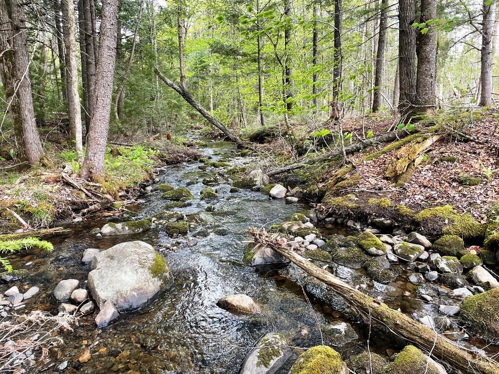 Lot #7 Hammond Brook Road Monson, ME 04464 - Photo 12 of 16