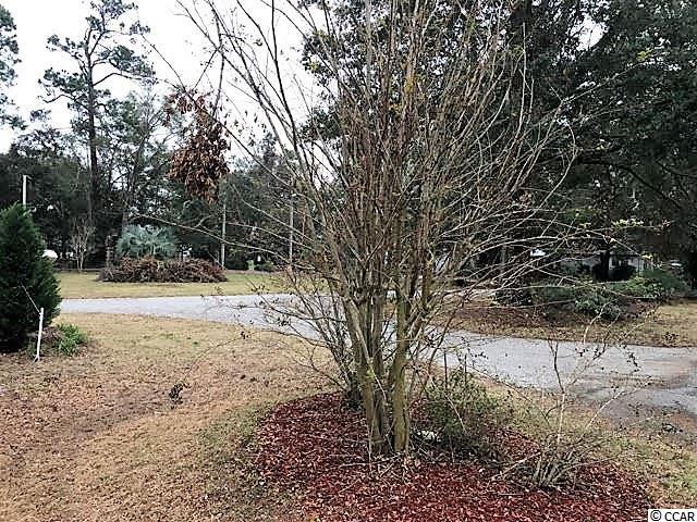 3613 Jordan Landing Road Murrells Inlet, SC 29576 - Photo 5 of 5