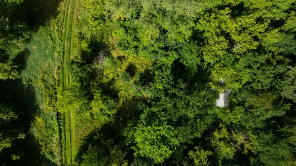 $159,900 | Lot 2 280th Street, Glenwood City, WI 54013