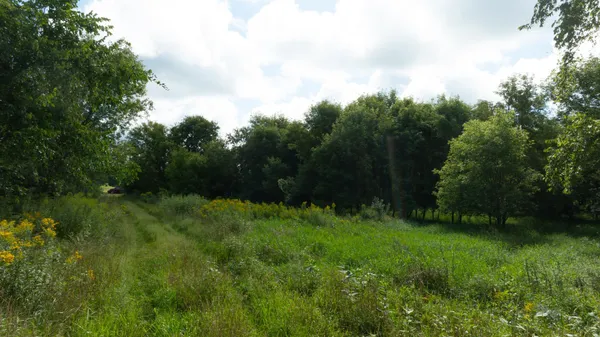 $159,900 | Lot 2 280th Street, Glenwood City, WI 54013