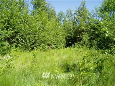 22005 Grip Road Sedro-Woolley, WA 98284 - Photo 1 of 1 Gallery Image 1