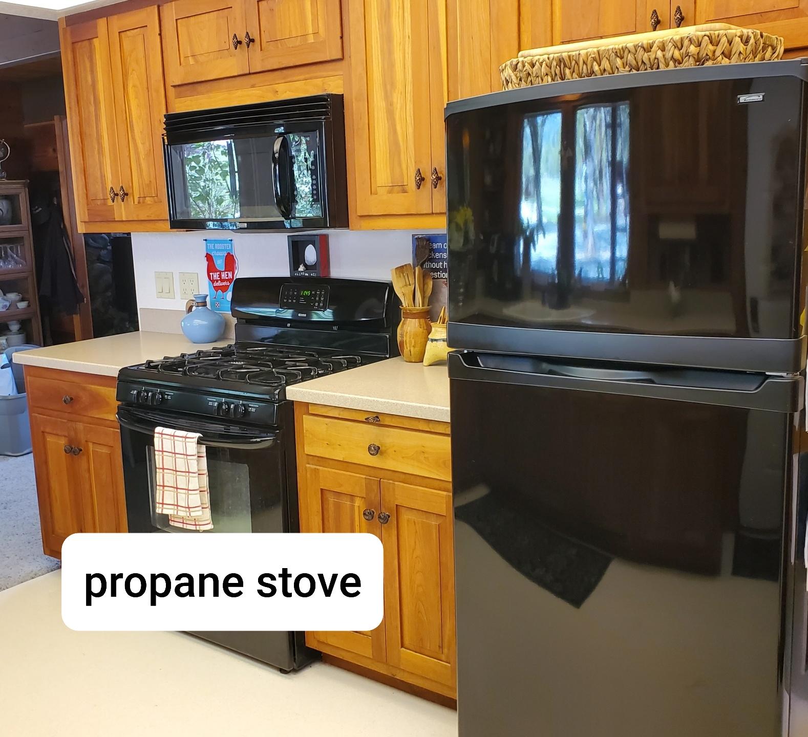 1275 Kubli Road Grants Pass, OR 97527 - Photo 10 of 21 PROPANE STOVE