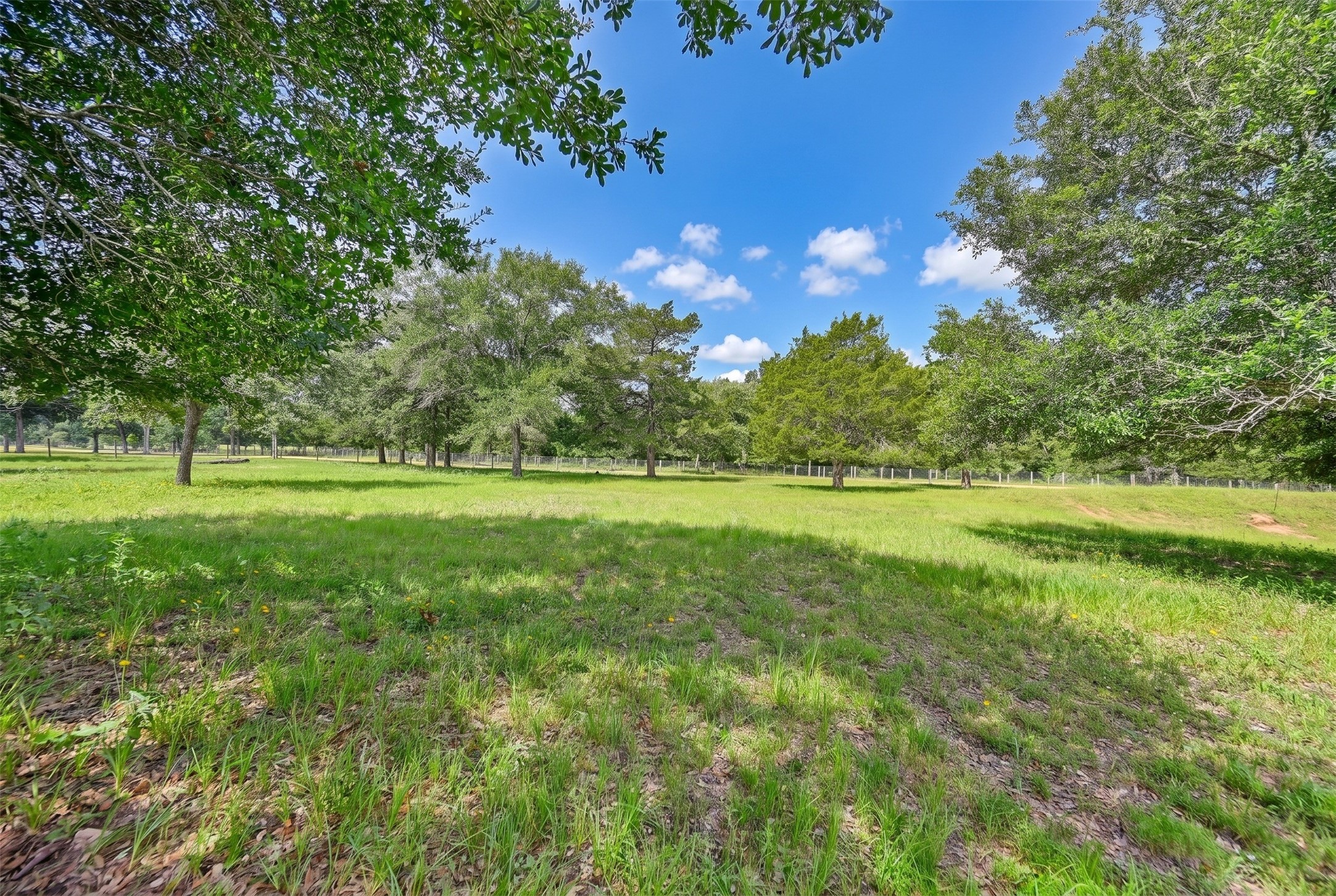 16292 Sycamore Road Cat Spring, TX 78933 - Photo 2 of 33