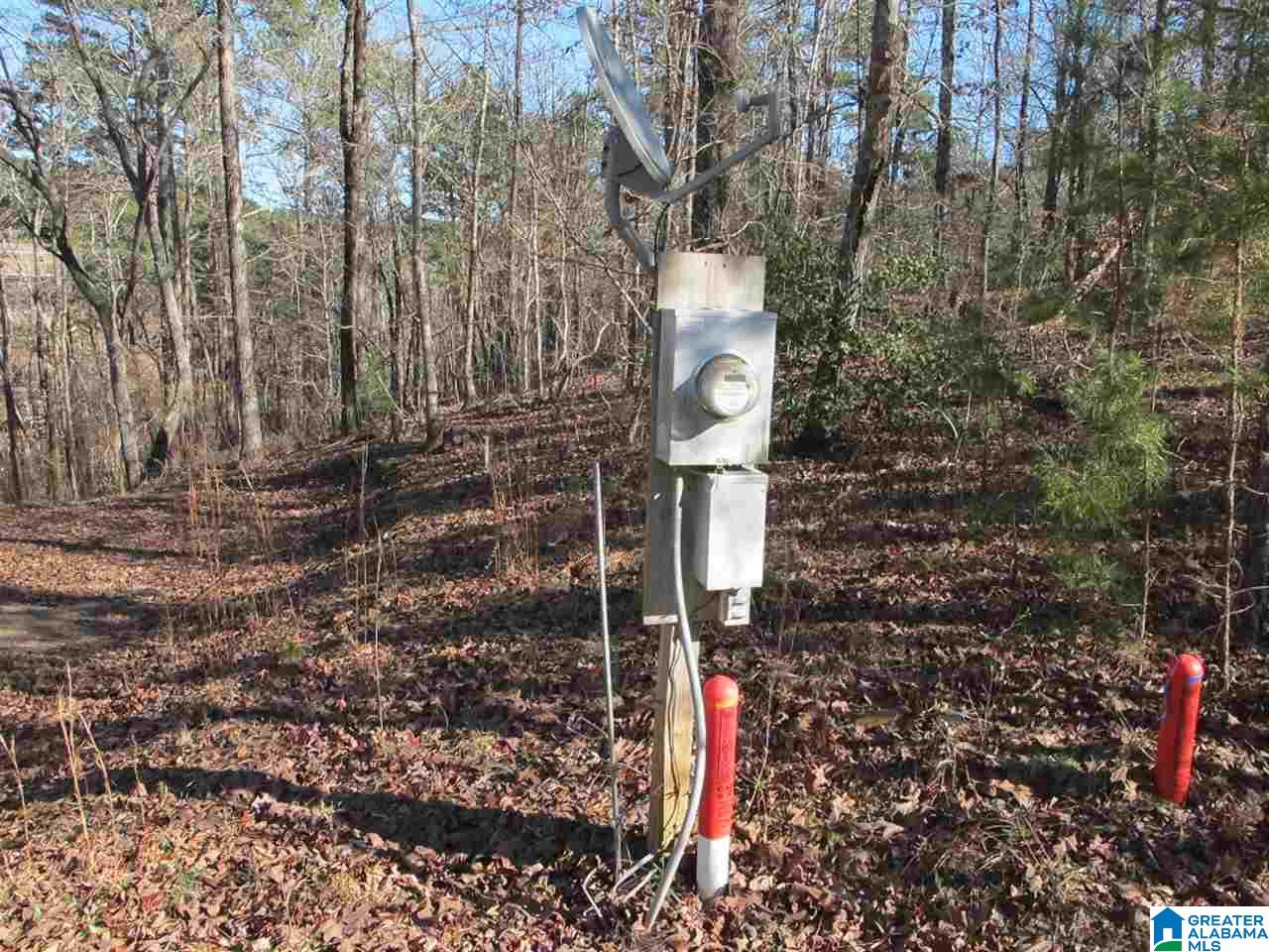 Dogwood Ridge, Unit 20 Wedowee, AL 36278 - Photo 5 of 7