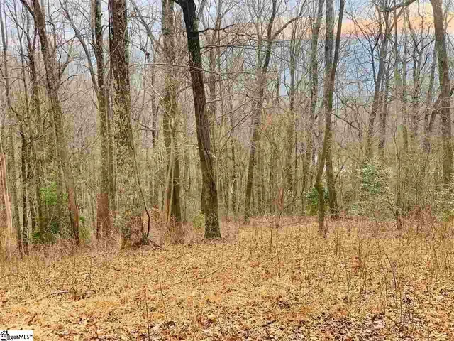 $20,000 | 15 Day Lily Road, Landrum, SC 29356