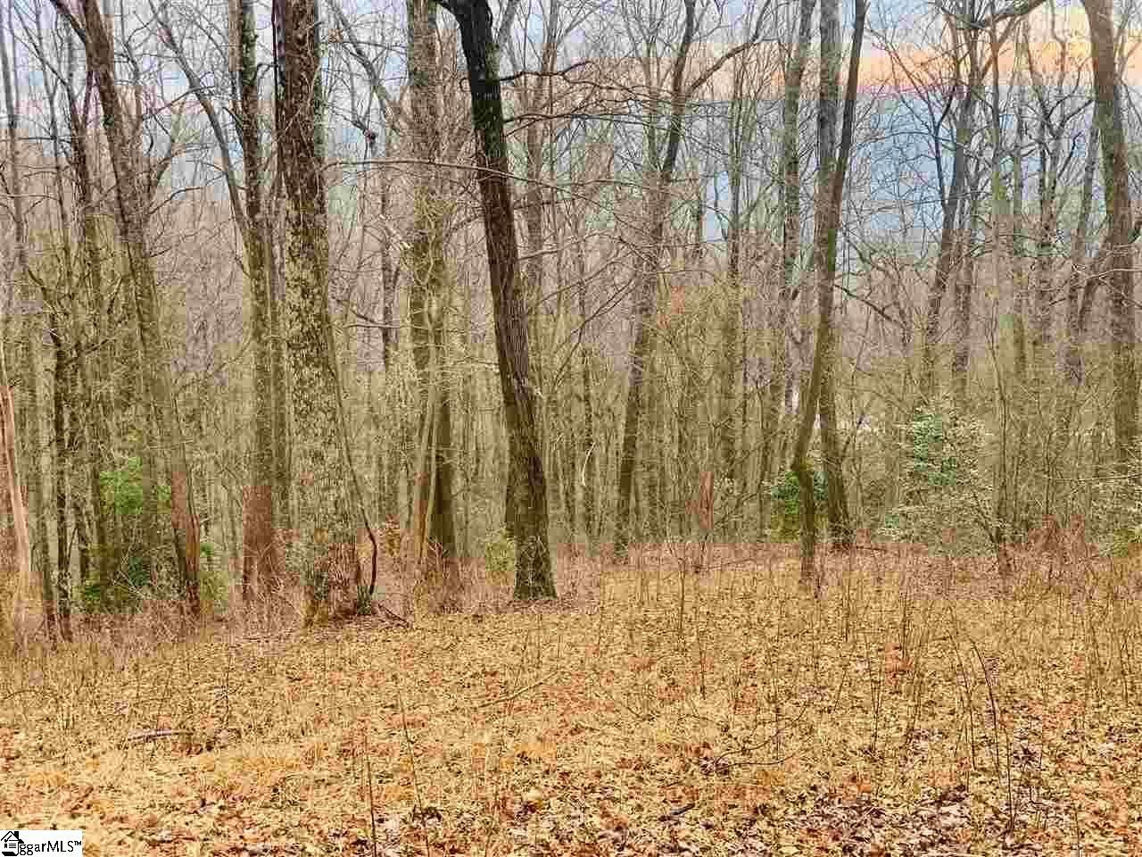 15 Day Lily Road Landrum, SC 29356 - Photo 2 of 5