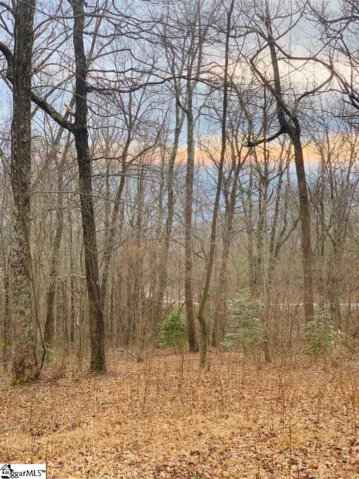 15 Day Lily Road Landrum, SC 29356 - Photo 3 of 5