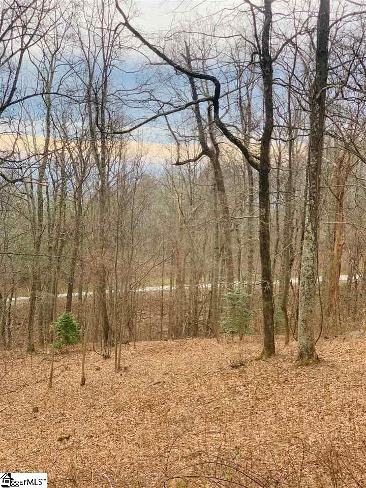 15 Day Lily Road Landrum, SC 29356 - Photo 4 of 5