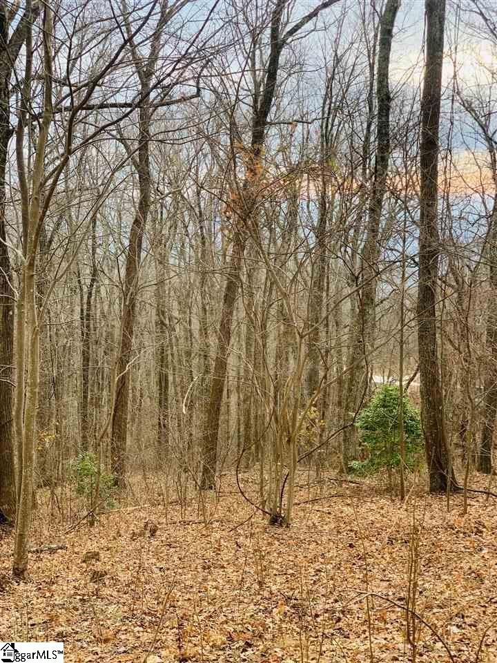 15 Day Lily Road Landrum, SC 29356 - Photo 5 of 5