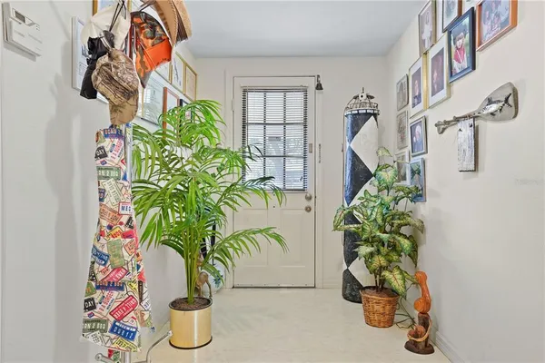 a potted plant sitting in front of a door