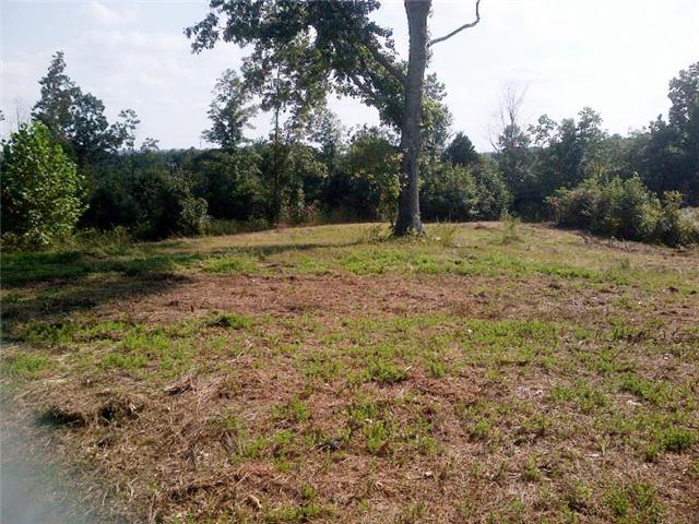 1 Tarsus Church Road Palmyra, TN 37142 - Photo 1 of 8 Gallery Image 1