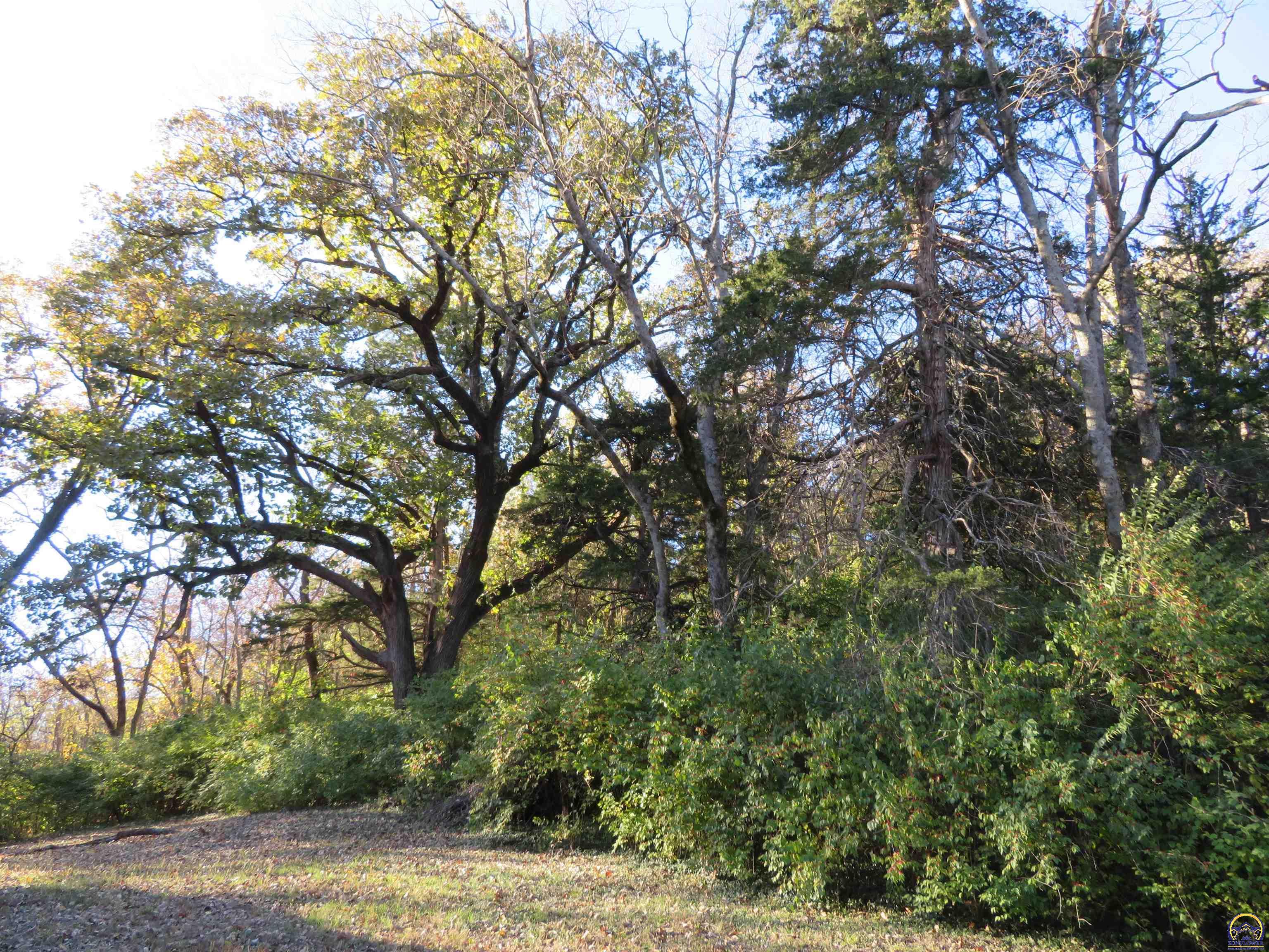 9263 Marion Road Oskaloosa, KS 66066 - Photo 22 of 40