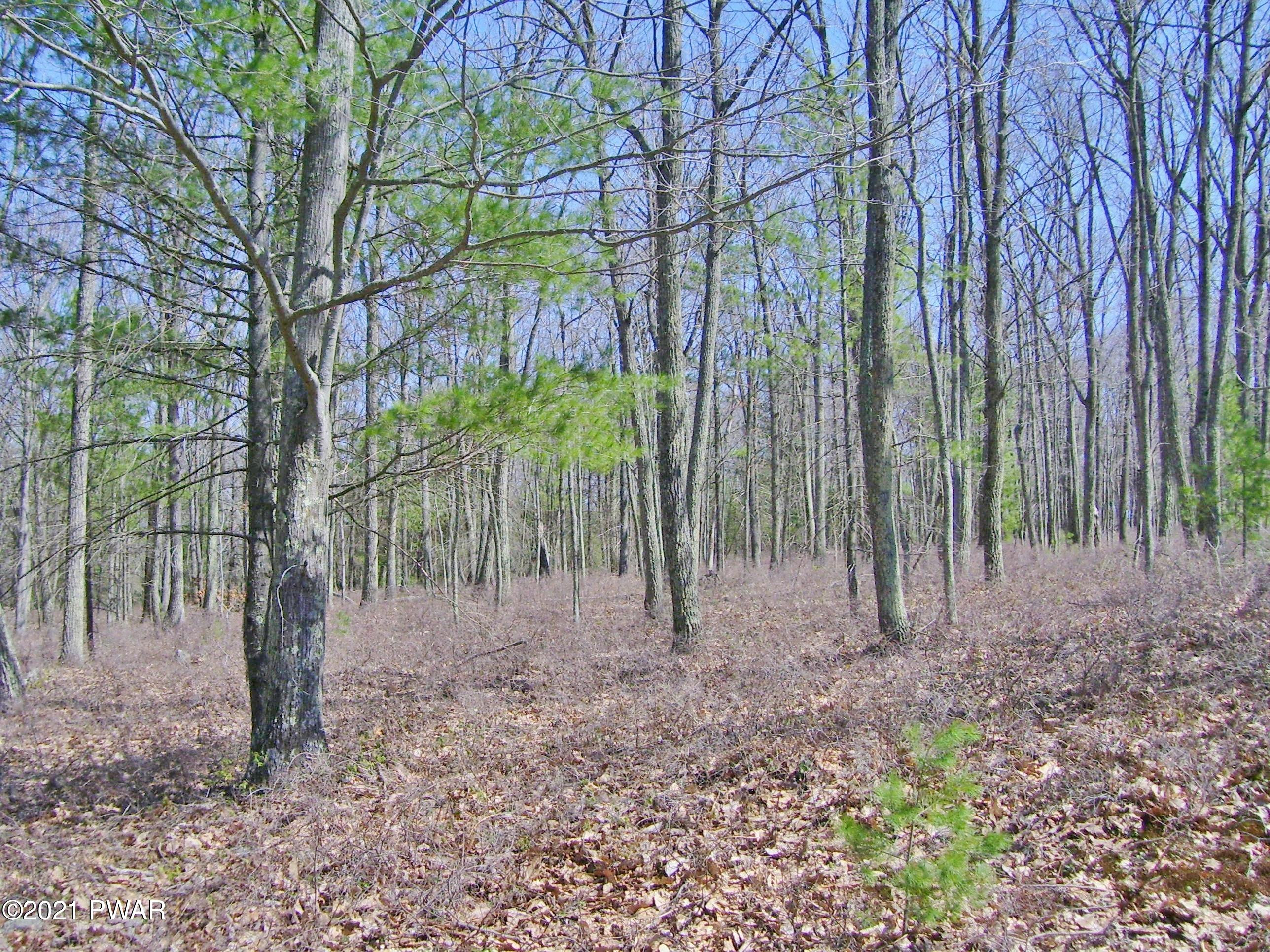 Lot 83 Marquise Road Tafton, PA 18464 - Photo 5 of 12