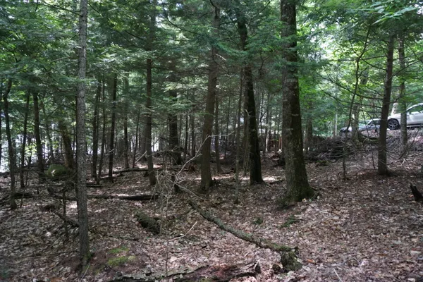 $225,000 | Lot 26 Black Point Road, Beaver Cove, ME 04441