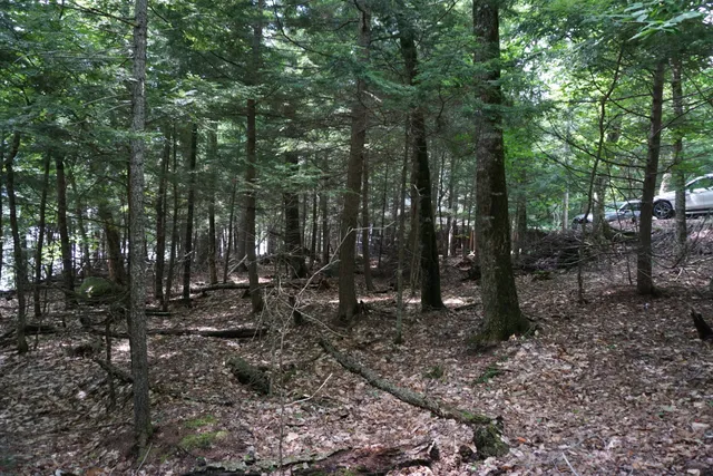 $225,000 | Lot 26 Black Point Road, Beaver Cove, ME 04441