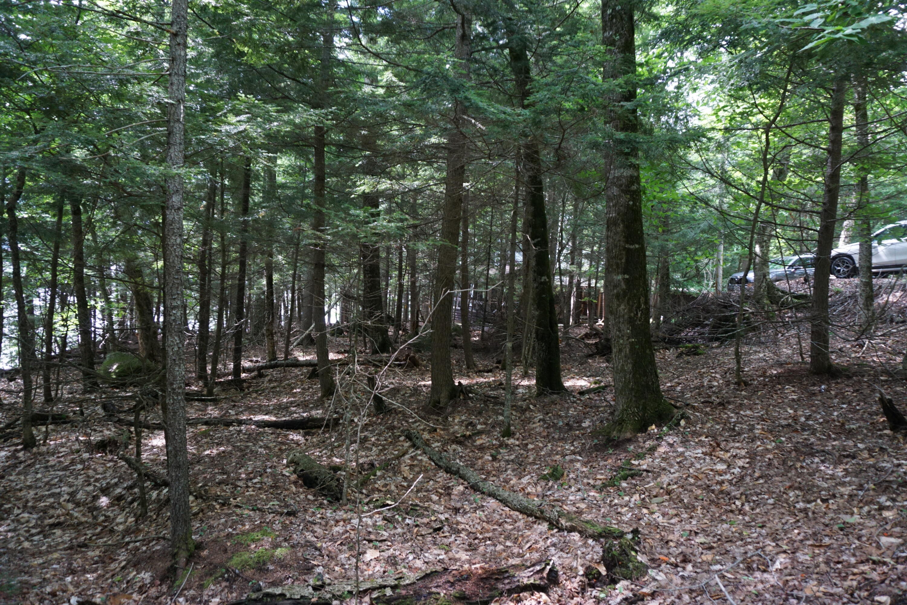 Lot 26 Black Point Road Beaver Cove, ME 04441 - Photo 11 of 13 2B41C270-F9C9-43E8-A4DE-FE97C04F01B4