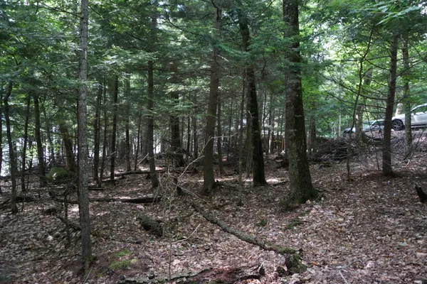 $225,000 | Lot 26 Black Point Road, Beaver Cove, ME 04441
