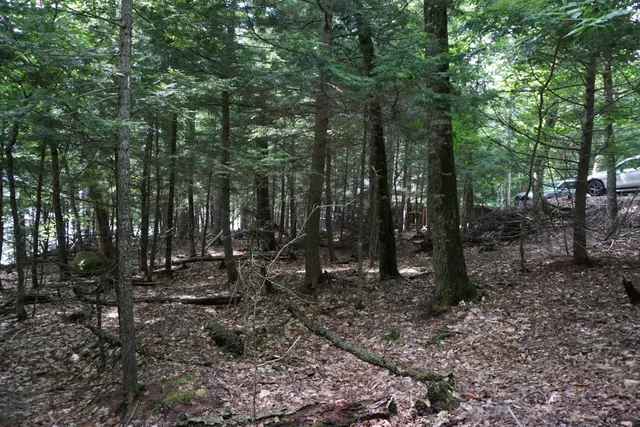 $225,000 | Lot 26 Black Point Road, Beaver Cove, ME 04441