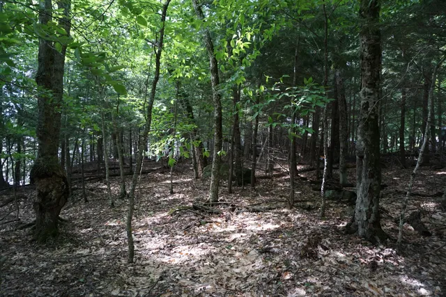 $225,000 | Lot 26 Black Point Road, Beaver Cove, ME 04441
