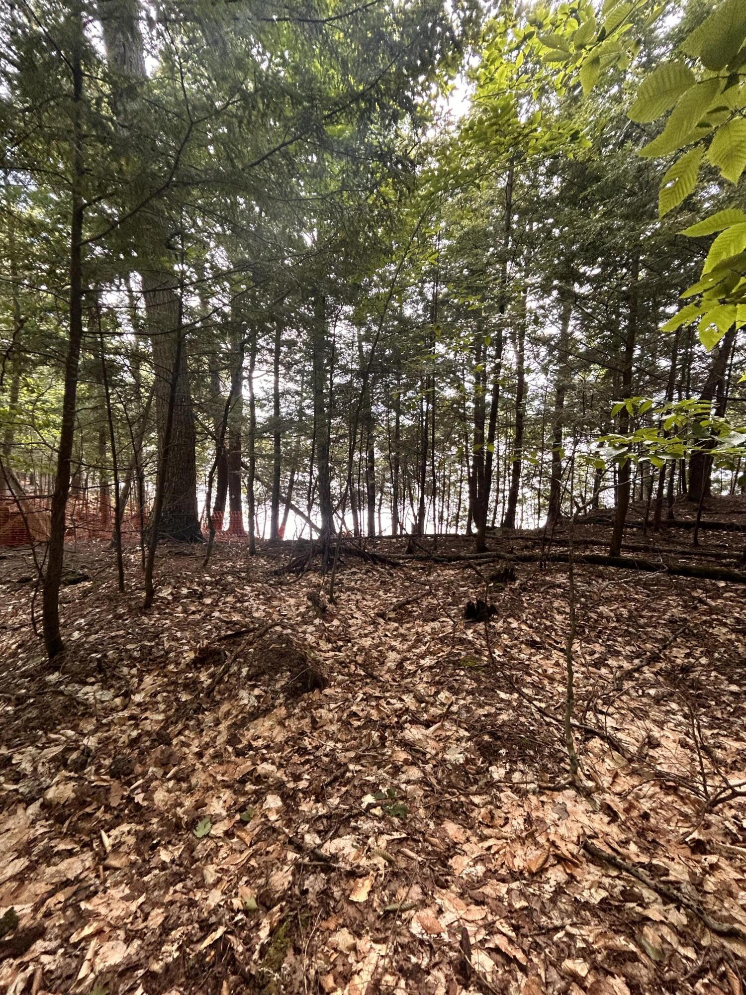 Lot 26 Black Point Road Beaver Cove, ME 04441 - Photo 3 of 13 IMG_1924