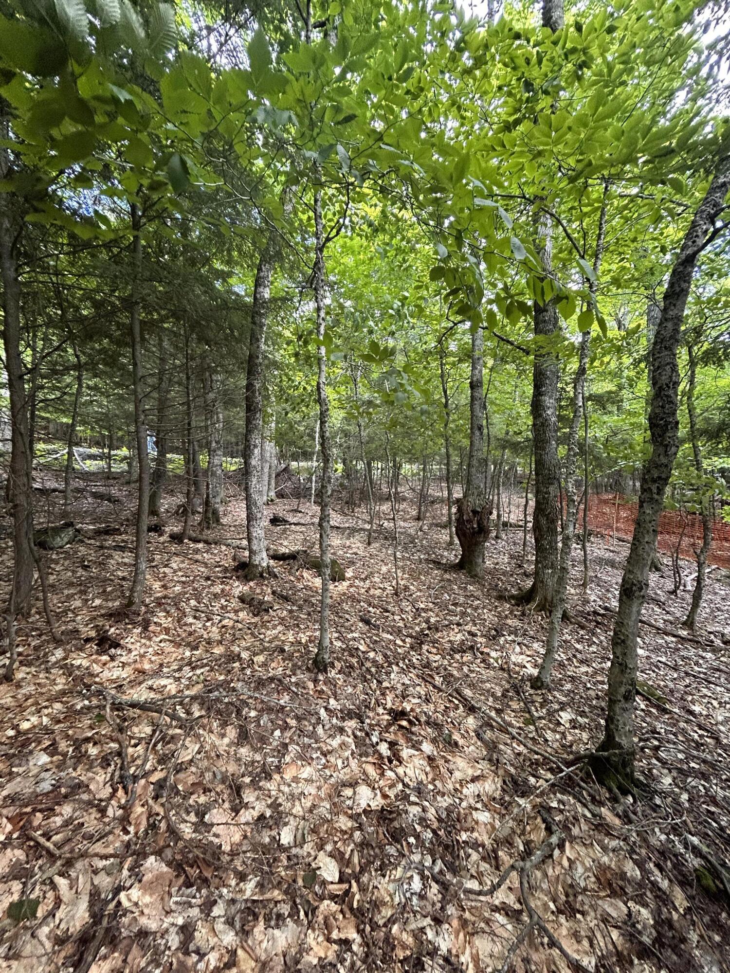 Lot 26 Black Point Road Beaver Cove, ME 04441 - Photo 4 of 13 IMG_1925