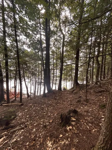 $225,000 | Lot 26 Black Point Road, Beaver Cove, ME 04441