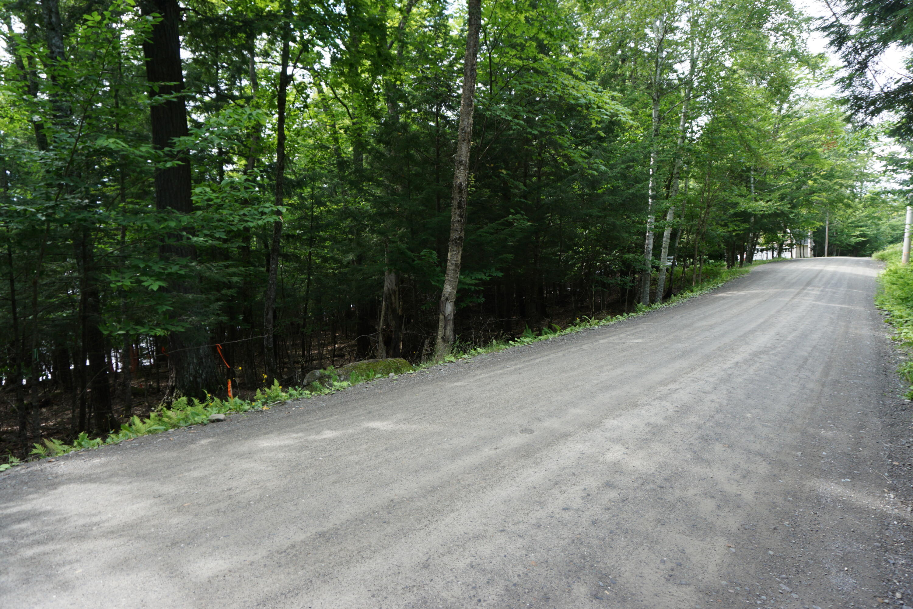 Lot 26 Black Point Road Beaver Cove, ME 04441 - Photo 7 of 13 27CB1E2F-47F9-4B54-B9A5-F23F8C1968B1