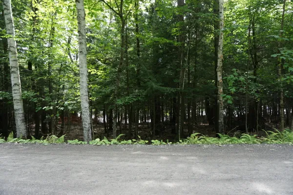 $225,000 | Lot 26 Black Point Road, Beaver Cove, ME 04441