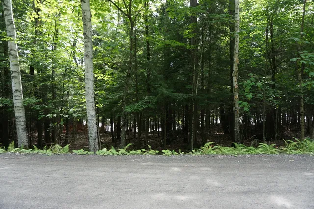 $225,000 | Lot 26 Black Point Road, Beaver Cove, ME 04441