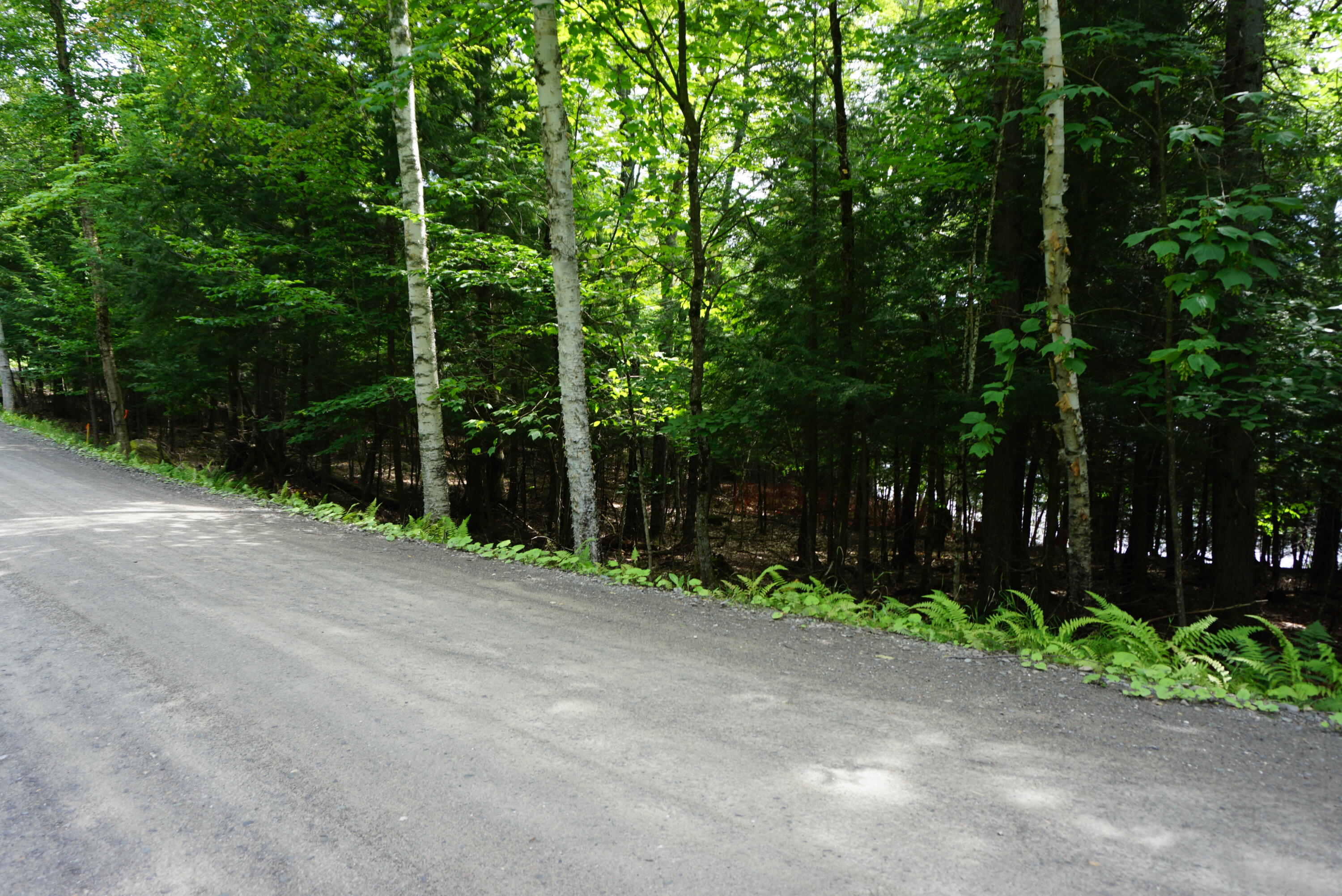 Lot 26 Black Point Road Beaver Cove, ME 04441 - Photo 9 of 13 6975B495-33E5-48D3-9D9C-3593C7161D70