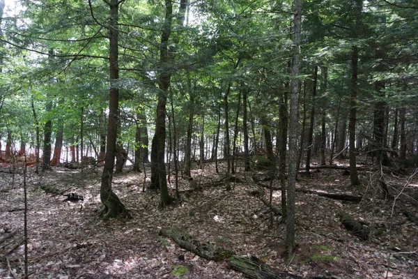 $225,000 | Lot 26 Black Point Road, Beaver Cove, ME 04441