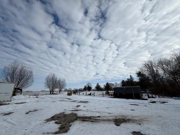 a view of road with large trees