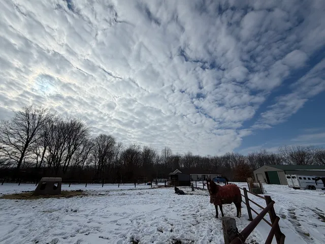 $335,000 | 416 North White Oak, Camargo, IL 61919