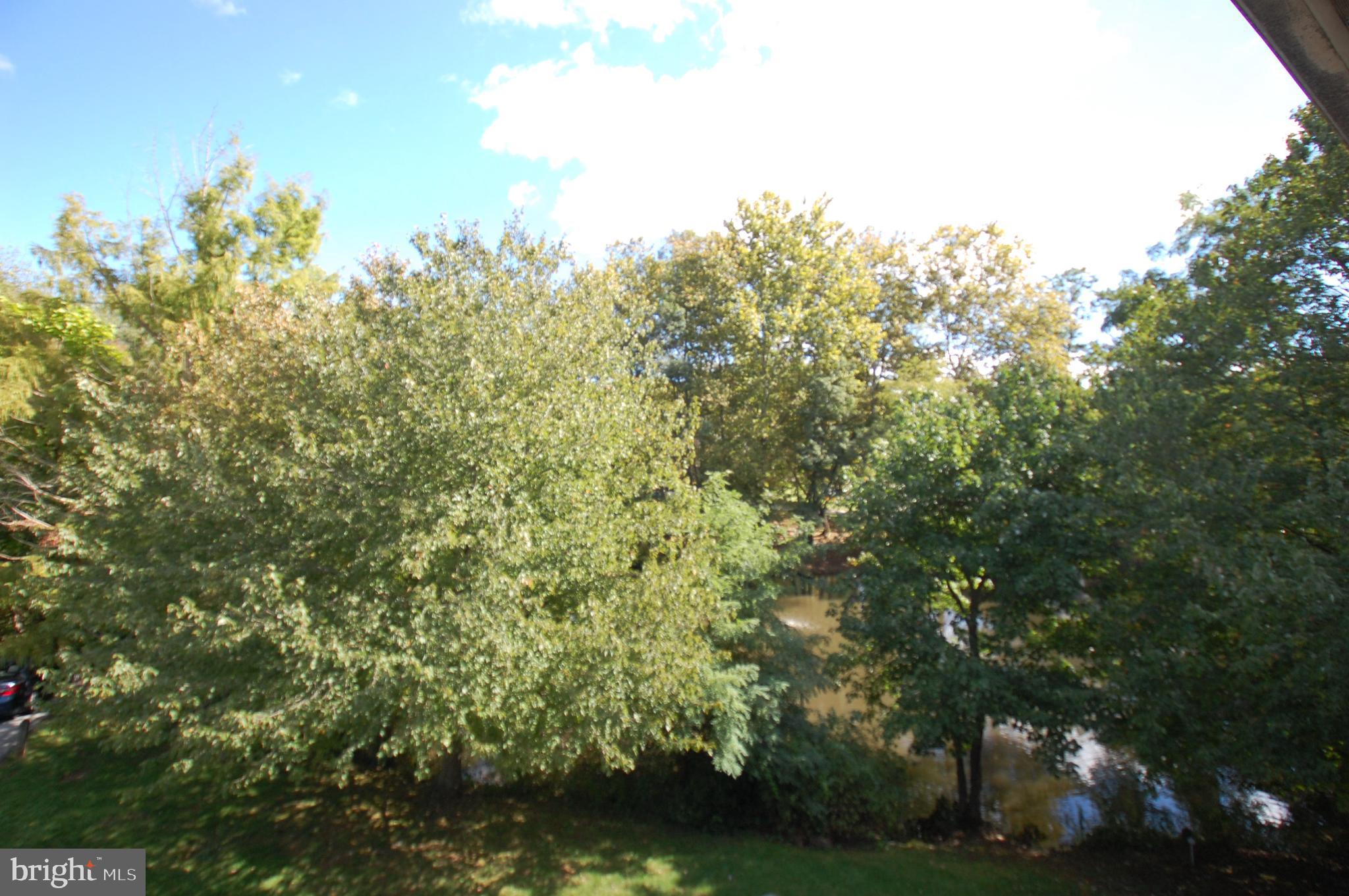 2220 Eagle Road West Chester, PA 19382 - Photo 20 of 25 View of the pond from patio