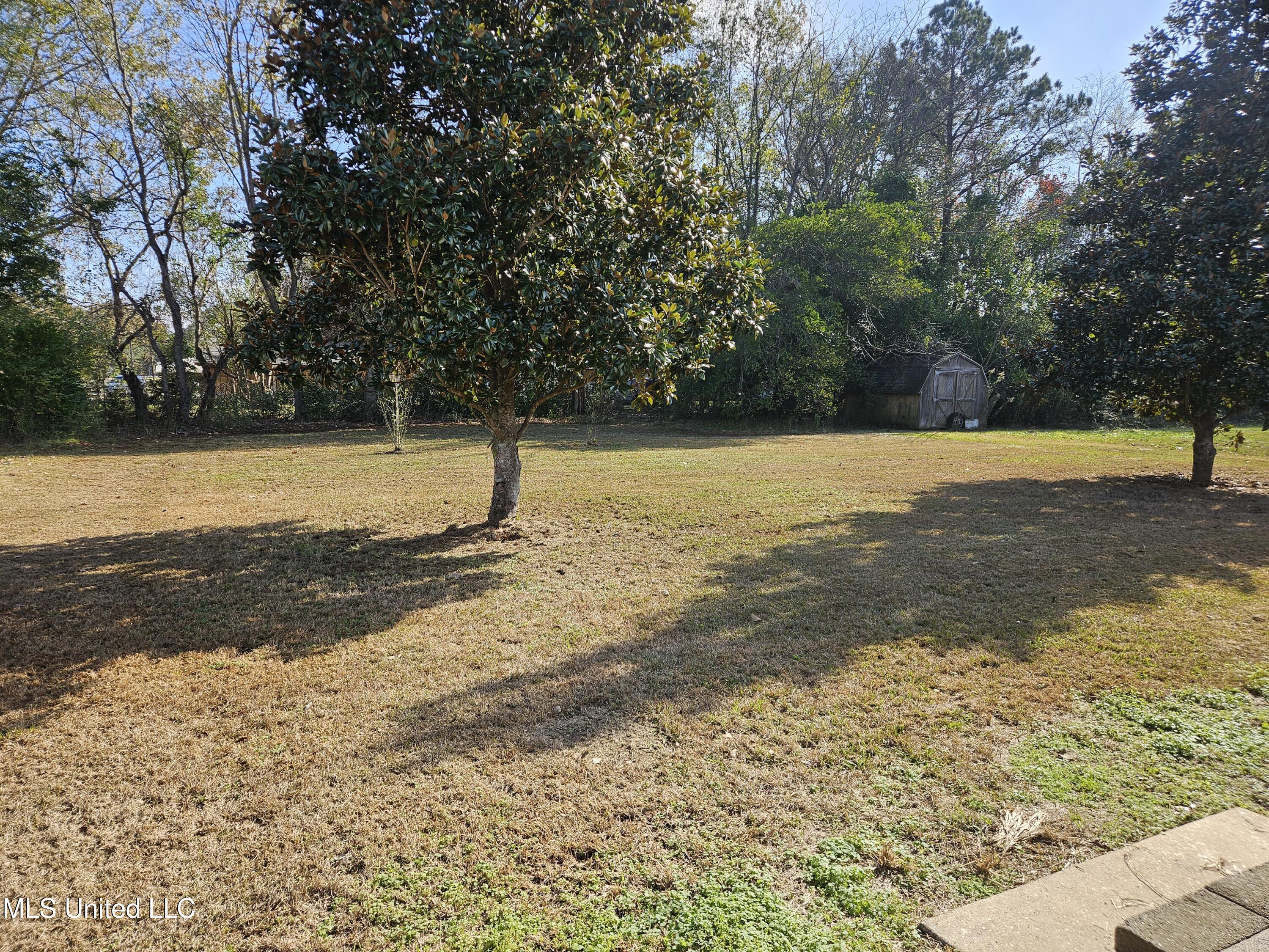 101 Maci Lane Lucedale, MS 39452 - Photo 8 of 11 20251209_103427