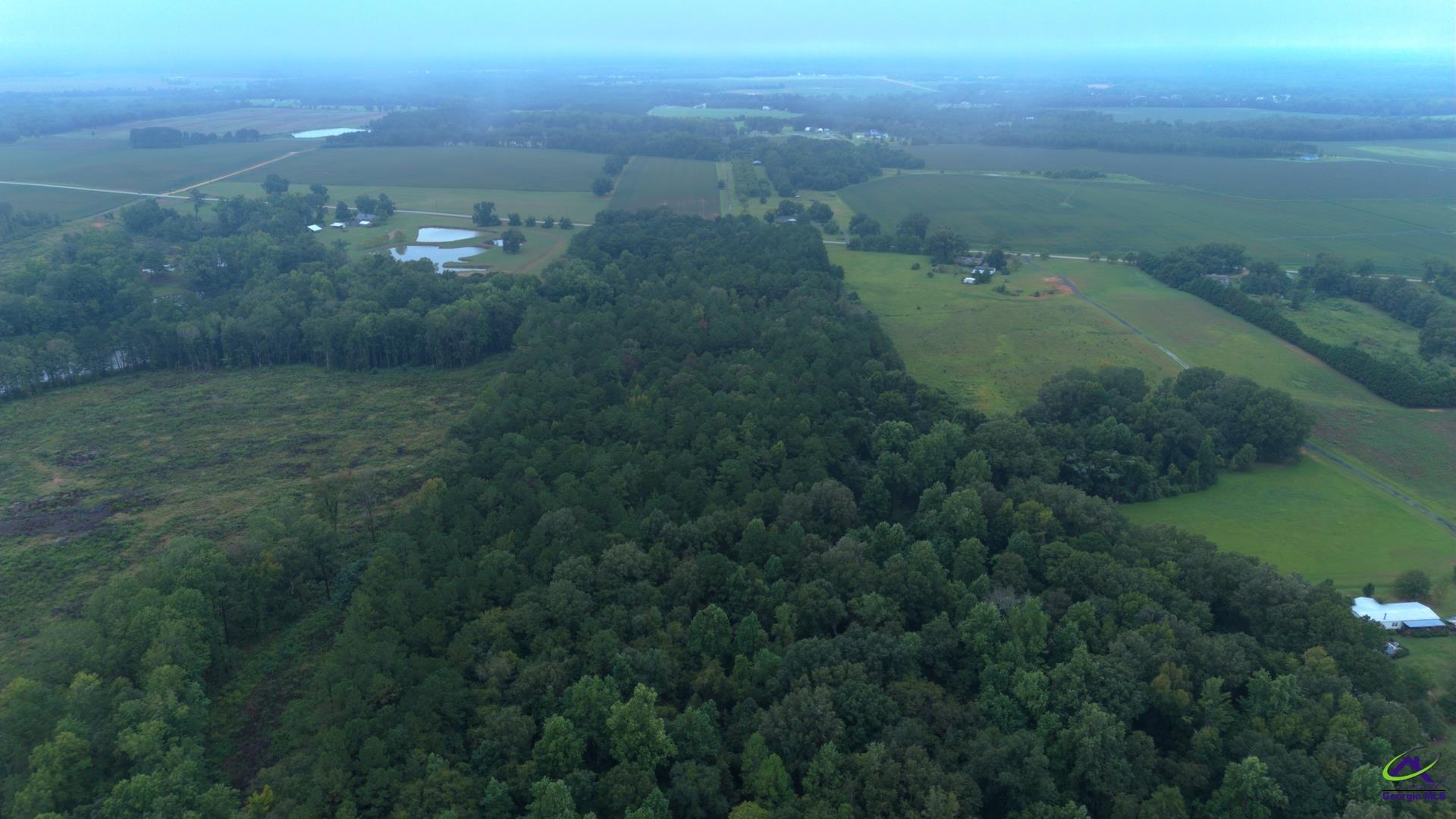 Grovania Road Elko, GA 31025 - Photo 7 of 23