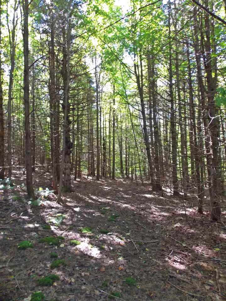 2003 Beach Hill Road Glover, VT 05875 - Photo 34 of 39