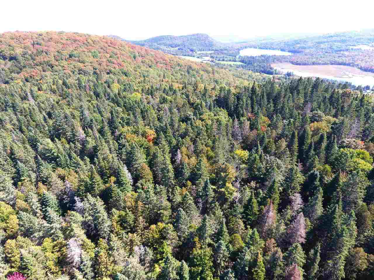 2003 Beach Hill Road Glover, VT 05875 - Photo 38 of 39