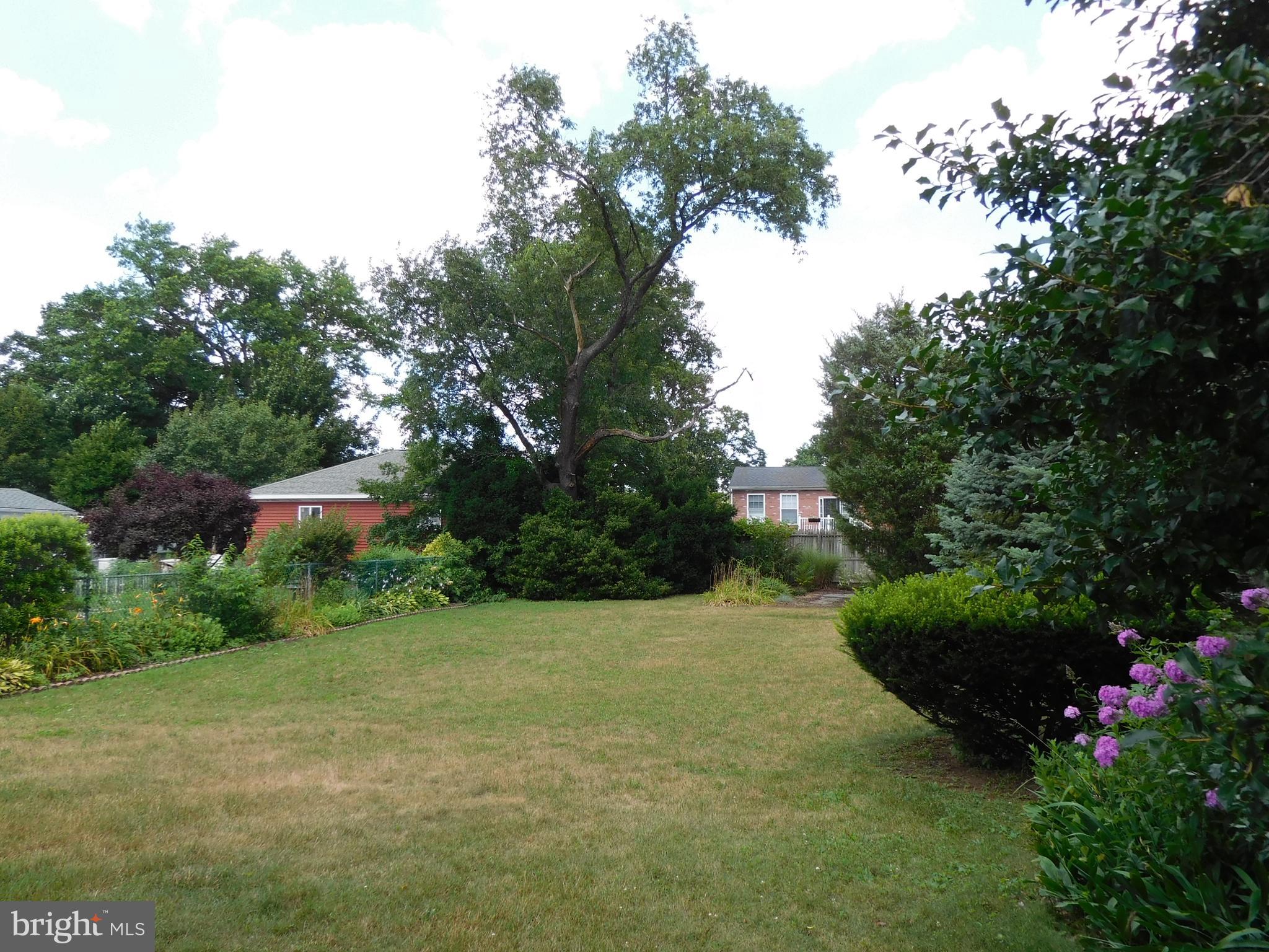 419 Lippincott Avenue Riverside, NJ 08075 - Photo 32 of 35 Rear Yard