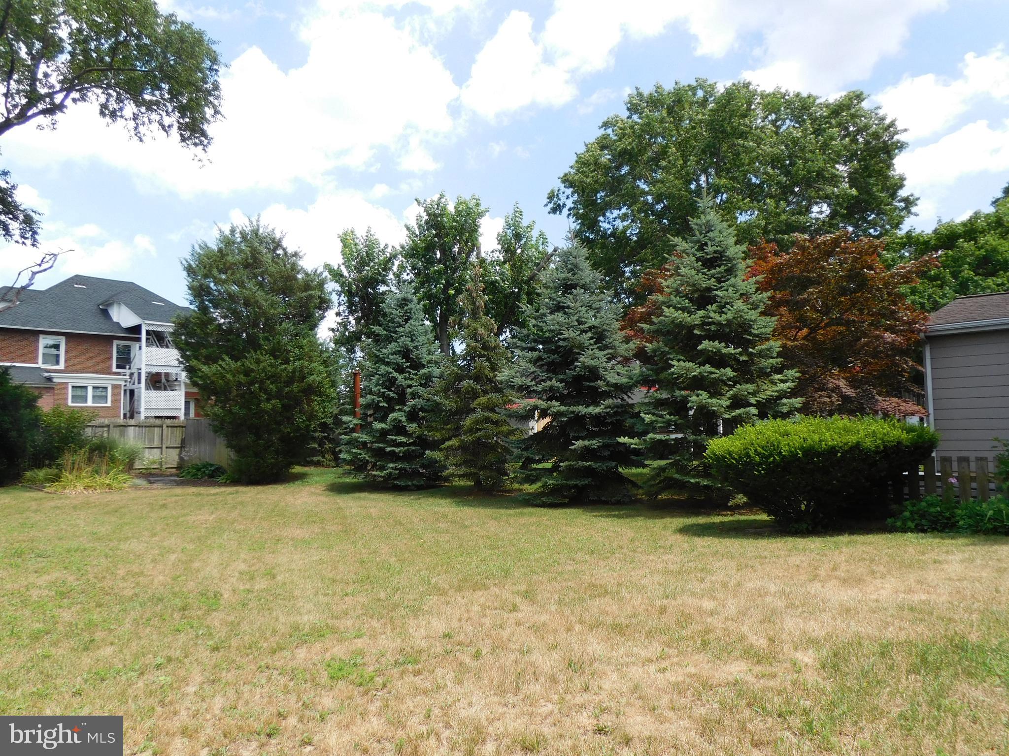 419 Lippincott Avenue Riverside, NJ 08075 - Photo 33 of 35 Rear Yard