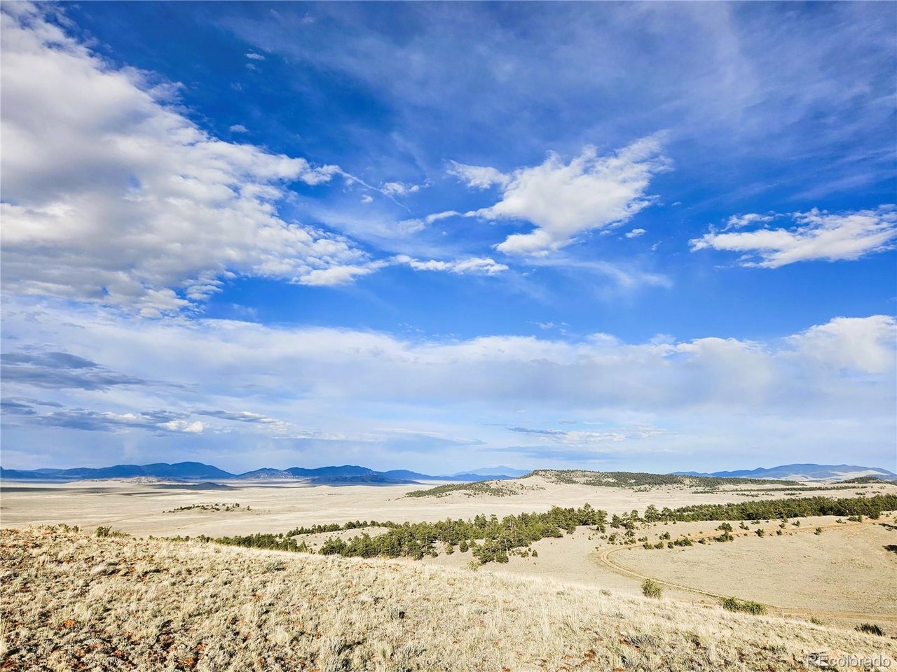 24142 Antero Road Hartsel, CO 80449 - Photo 20 of 48