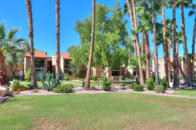a view of a chair and table in the garden
