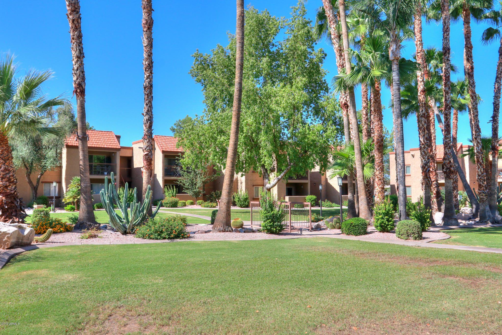 8256 East Arabian Trail, Unit 237 Scottsdale, AZ 85258 - Photo 28 of 31 front view of house with a yard and potted plants