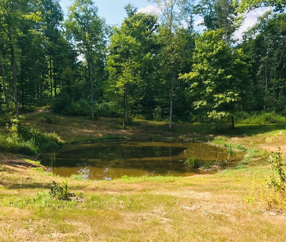 725 Greer Lane Springville, IN 47462 - Photo 23 of 36 Gallery Image 23