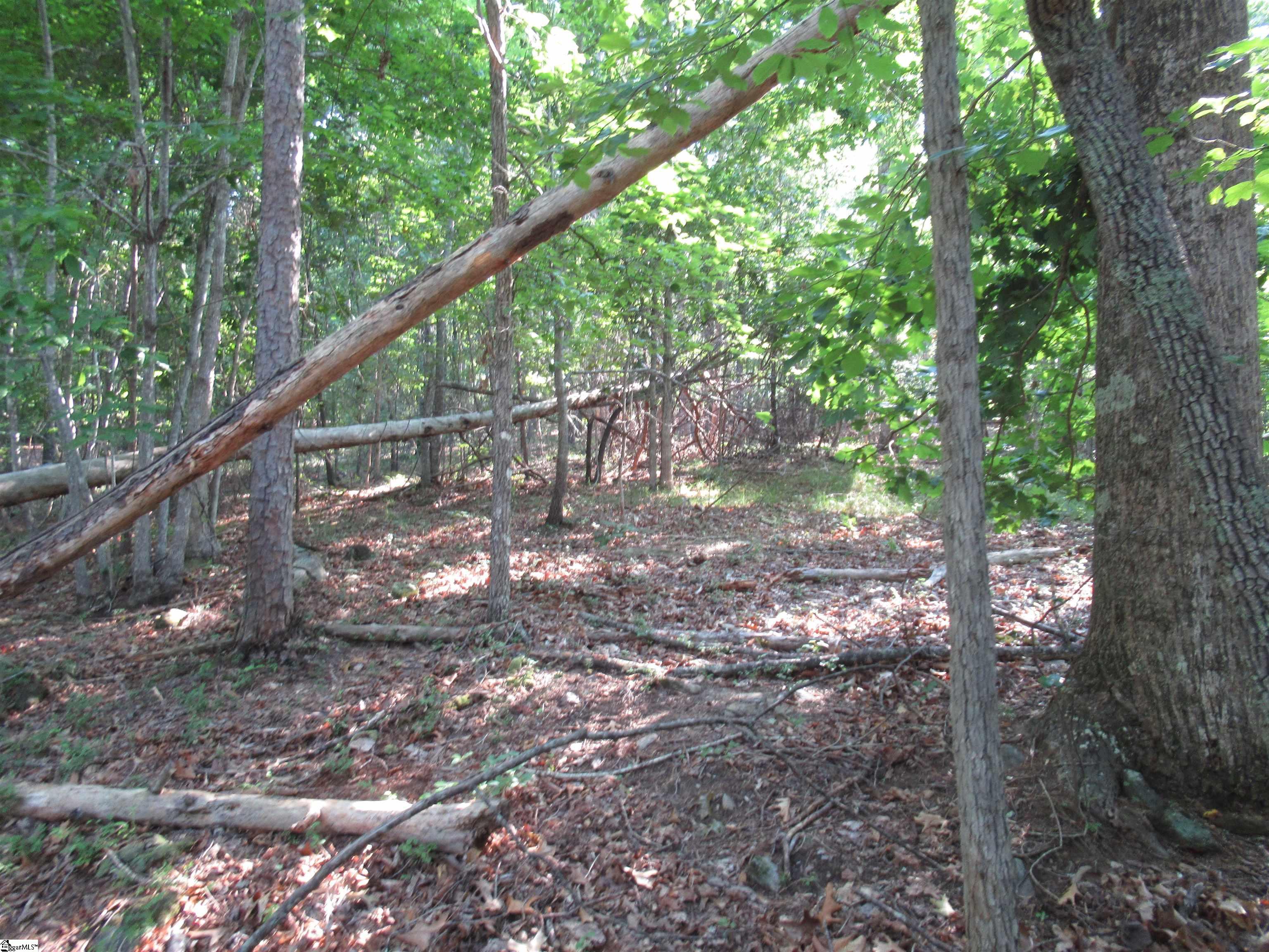 0 Murphy Road, Unit 3 2 ACRES S SIDE MURPHY RD Sunset, SC 29685 - Photo 20 of 20