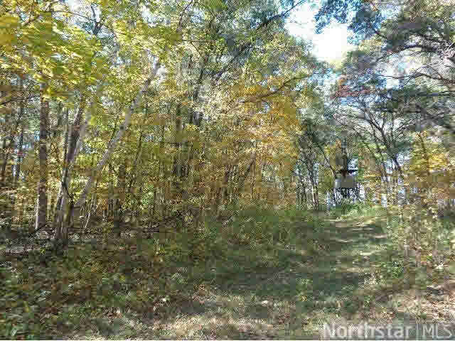 40570 Reed Avenue North Branch, MN 55056 - Photo 8 of 9 Gallery Image 8