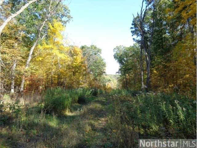40570 Reed Avenue North Branch, MN 55056 - Photo 9 of 9 Gallery Image 9