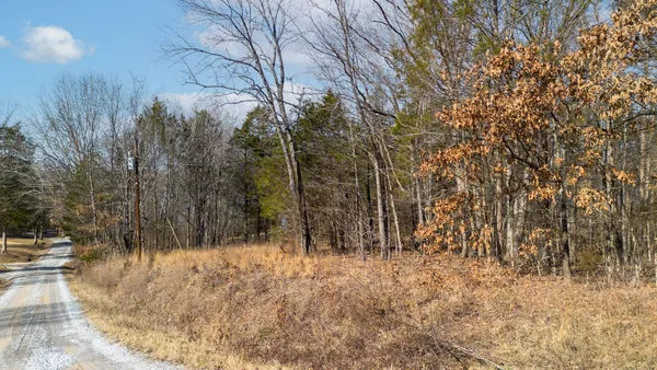 a view of house with trees