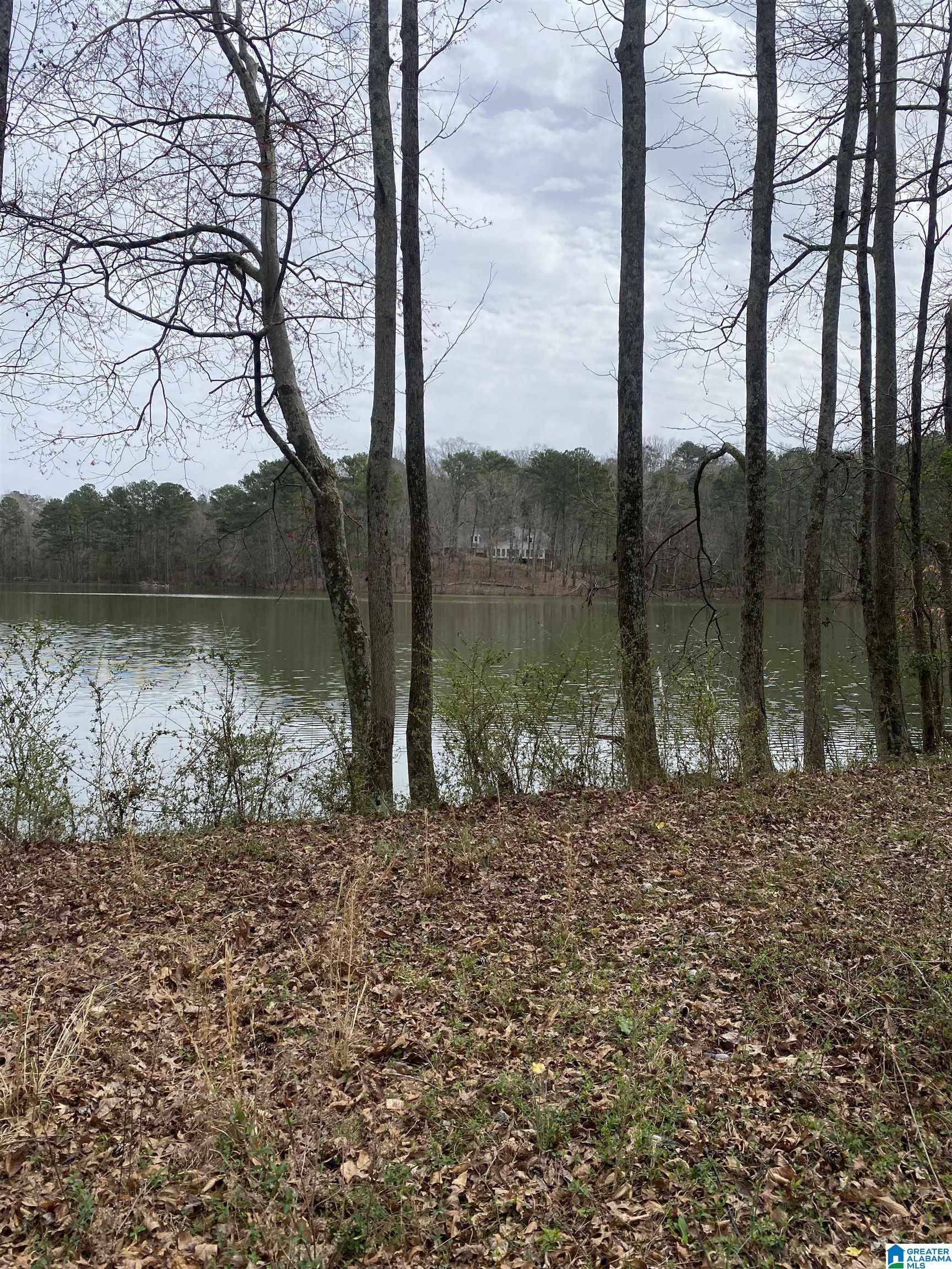 4402 Camp Coleman Road Trussville, AL 35173 - Photo 3 of 31