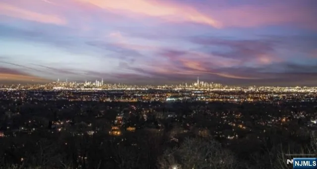 view of city and green space